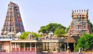 Pillaiyar Koil Street: Location, Local Area, Shopping, Connectivity & Nearby Places (2026)